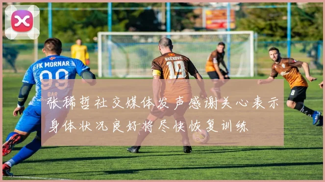 张稀哲社交媒体发声感谢关心表示身体状况良好将尽快恢复训练