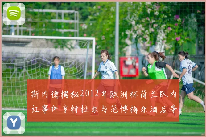 斯内德揭秘2012年欧洲杯荷兰队内讧事件亨特拉尔与范博梅尔酒后争执内幕