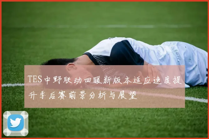 TES中野联动回暖新版本适应速度提升季后赛前景分析与展望